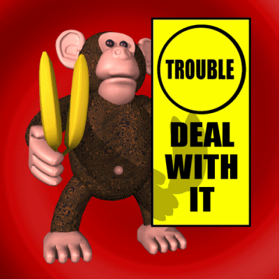 Trouble Deal With It GIF