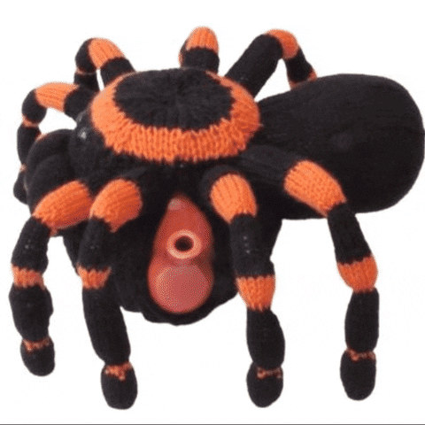 Halloween Spider GIF by TeaCosyFolk