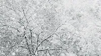 china snow GIF
