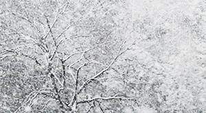 china snow GIF