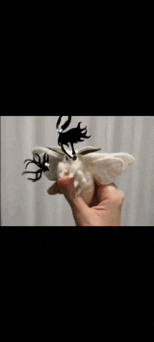 Hollow Knight Moth GIF