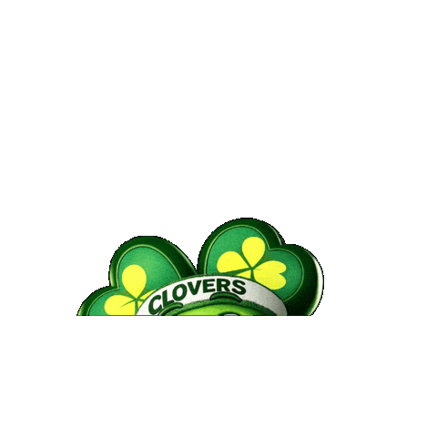 Colegio irlandés Anáhuac Sticker