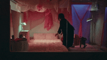 Pink Roster GIF by ilham
