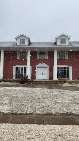 Snow Falling GIF by Tricia  Grace