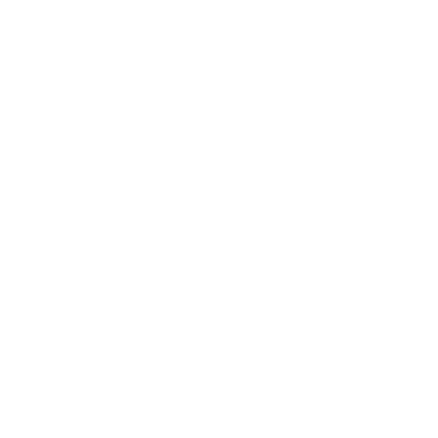 Womens Hockey Sticker by Pittsburgh Penguins