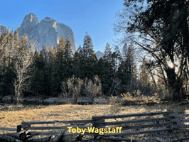 Toby Wagstaff GIF