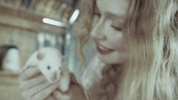 Rat Musicvideo GIF by Mollie Elizabeth
