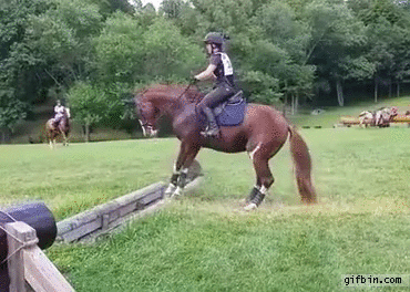 challenge cliff GIF