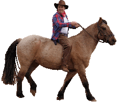 Cowboy Sticker