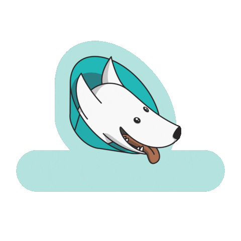 amicaveterinaria Sticker