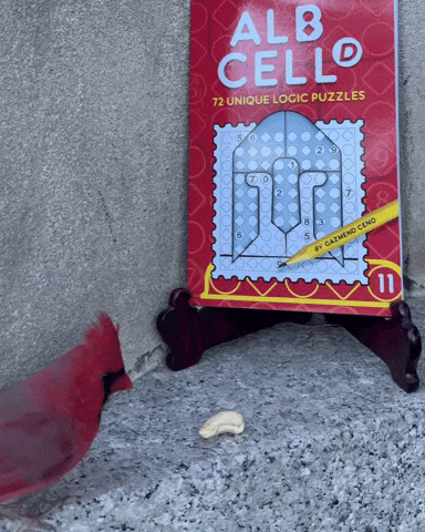 GIF by Alb Cell