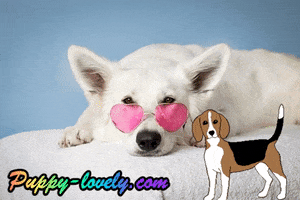 Puppy Lovely GIF