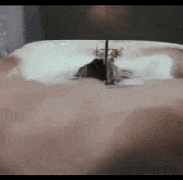 saturday the 14th horror GIF by absurdnoise