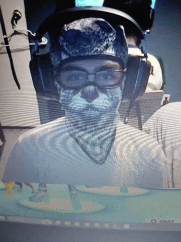 Cat GIF