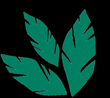 Rarestkind GIF by Erstwilder