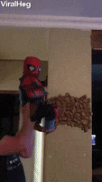 spiderman GIF by ViralHog