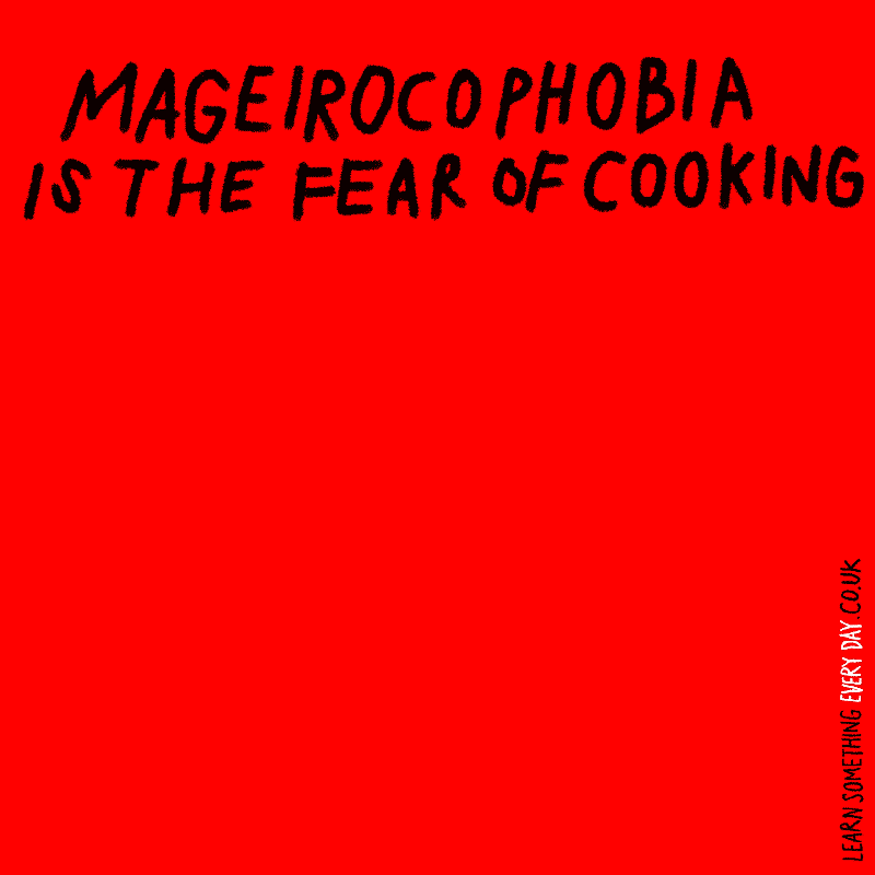 scared chef GIF by Learn Something Every Day
