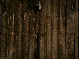 Jesseandfestuswwe GIF