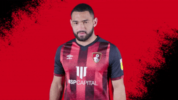 Football Love GIF by AFC Bournemouth