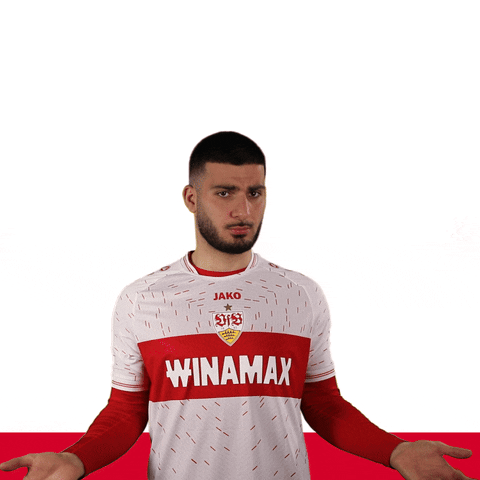 Deniz Undav Seriously GIF by VfB Stuttgart
