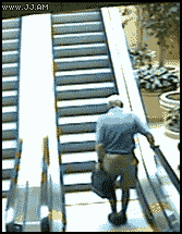 giphy.gif?cid=5e2148866510acf0a92676f0803dccd751cf6eddff7c81d1&rid=giphy.gif&ct=g