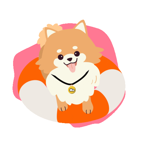 Lamascotadelverano Sticker by Mascotas del Oeste