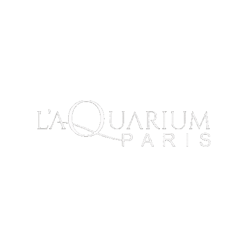 Sticker by laquariumleclub