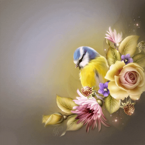 Vacancelle Week-End GIF