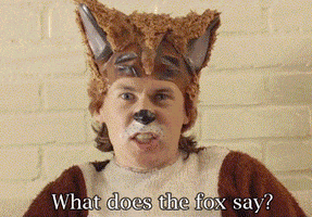 what does the fox say im sorry GIF