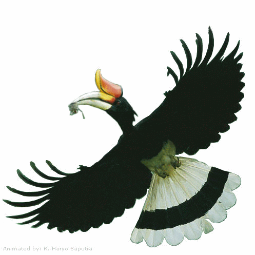 Https Encrypted Tbn0 Gstatic Com Images Q Tbn 3aand9gcqrqfv4c Js487cwyleivcn8hxxzyxmlx Yuam0uq7h Tkar7rs