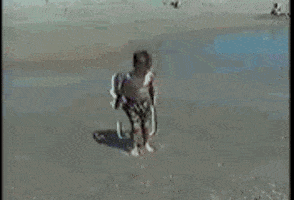 Leonardo Dicaprio Summer GIF