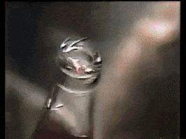 limonarias  GIF