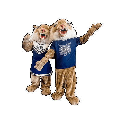 Dallastown Area School District Sticker