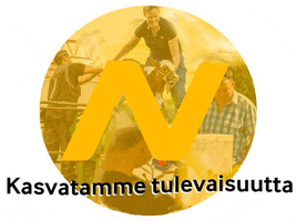 Nivalan kaupunki GIF