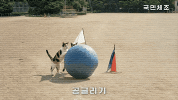 국민체조 GIF