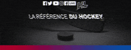 Habs et LNH GIF