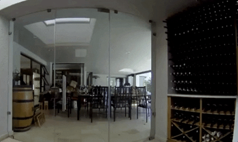 Wine Collection GIFs - Get the best GIF on GIPHY