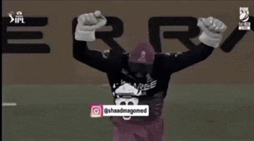 Rajasthan Royals GIF