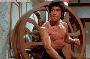 fight me bruce lee GIF