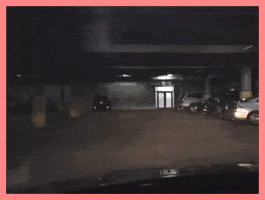 Fido Fid0 GIF