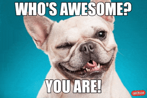 Awesome You Are The Best GIF by Altibox