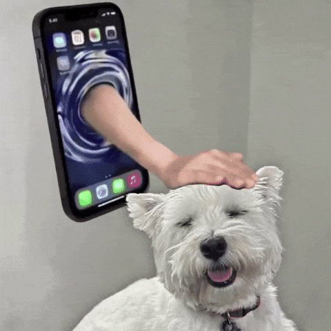Good Boy Dog GIF