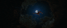 Kantara GIF by Hombale Films