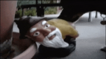 dog gnome GIF by You've Been Framed!