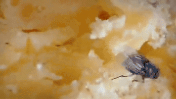 mateuszmurawski  GIF
