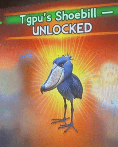 Rare Bird Shoebill GIF