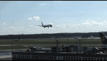 underdog  GIF