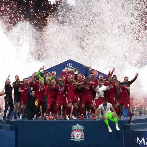 champions league football GIF by Liverpool FC