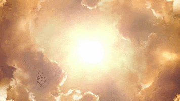 Vybe GIF