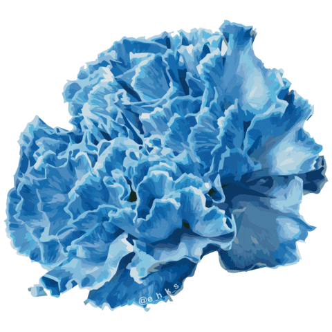 Flower Carnation Sticker